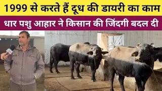 1999 से करता है दूध की डायरी का काम - धार पशु आहार फीड ने किसान की जिंदगी ही बदल दी 