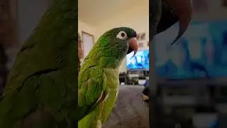 Смотрю его фильм