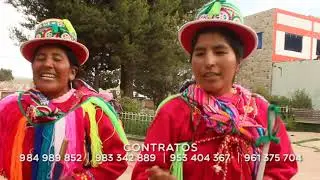 10. CHOLITO CELOSO