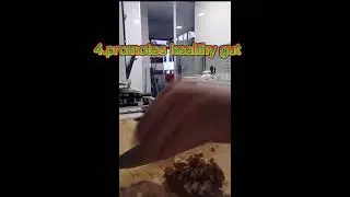 Walnuts 13 Proven Benefits/Support good brain functions /emmarie1926