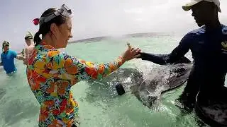 St. John's, Antigua - Stingray Swim and Snorkel 7/18/17