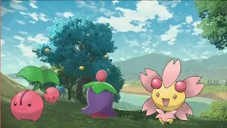 How To Catch Cherubi and Cherrim In Under 10 Minutes | Pokémon Legends Arceus (no major spoilers)