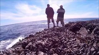 Ucluelet Rockfish and Lingcod Action July 2017