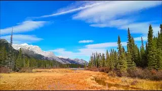 Peaceful Nature & Soft Music | Relax, Sleep & Stress Relief
