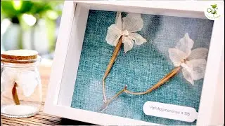 Learn how to pollinate orchids and create seed pod art.#orchid #diy #Phalaenopsis pollination