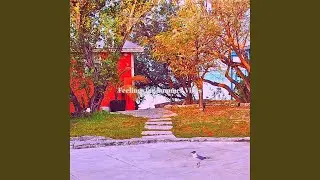 West Indian Music Soundtrack for Chill Vibes