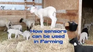 How sensors can be used in Farming