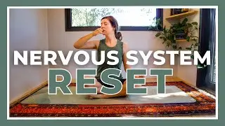 45-min NERVOUS SYSTEM RESET - Yin Yoga to Stretch & Relax (Katie McGrath Yin)