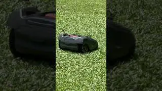 Robot Lawnmower stopped by fallen leaves at Singapore Botanic Gardens #shorts