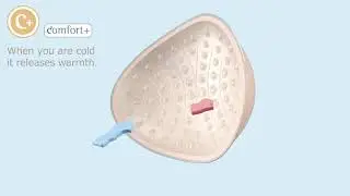Amoena Energy Breast Forms