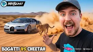 MrBeast Bugatti Racing a Cheetah 😱 | World&rsquo;s Fastest Car Meets Fastest Animal!