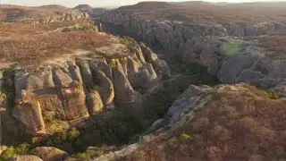 Effects of Historic Drought Vary Across Brazilian Corporates