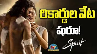రికార్డుల వేట షురూ !! | #spirit  | Prabhas | Sandeep Reddy Vanga | Tripti Dimri | NTV ENT