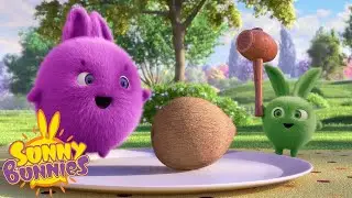 SUNNY BUNNIES - Cracking the Coconut | Season 4 | Cartoons for Children