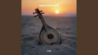 ليل مليء شغف