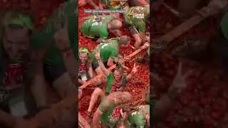 Tomato fight! La Tomatina festival turns streets of Spain red
