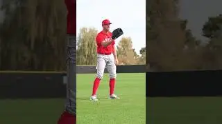 Spring Training Sights & Sounds (feat. our social media intern)