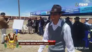 GRAN TORO RAYMI POMATA 2025 - Primera parte