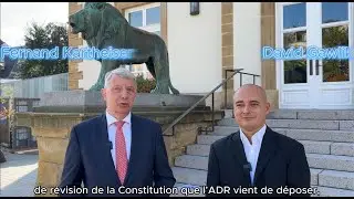 ADR Verfassungsrevisioun: Sprooch a Roude L&eacute;iw