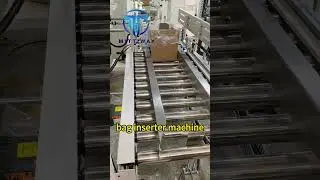 Bag In Box Inserter Machine High Quality Food Packaging Machine