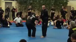 Seminaire international de Krav Maga Dijon (partie 3)