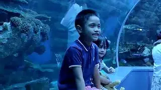 #Aquaescape  #museumvisit #uae #chapter9