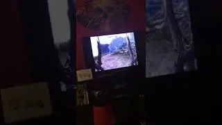 Finding dragons#2 side tracked