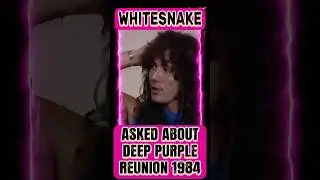 WHITESNAKE's David Coverdale's opinion on the DEEP PURPLE 1984 reunion        #whitesnakeshorts