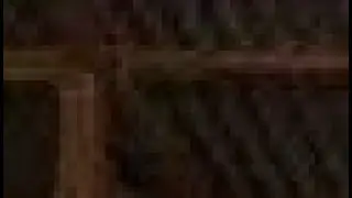 خد القرار فورا وابداء مشروعك والبعل مستعد يبات بره البيت كل يوم علشان يوفرلك السلالات دي من النهارده