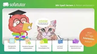 Die Katze – ein Schleichjäger einfach erklärt – Biologie 5. & 6. Klasse