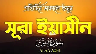 প্রতিদিন সকালে শুনুন – হৃদয় জুয়ানো কণ্ঠে সূরা ইয়াসিন | (سورة يس) Surah Yasin | Morning Tilawat