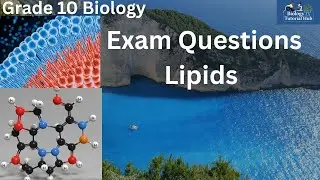 Exam Questions on Biochemical Molecules: Lipids (Grade 10)