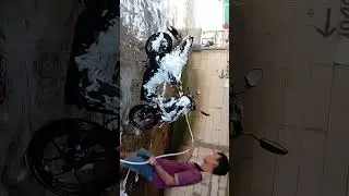 salju elektrik busa mantap