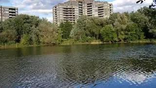 Austin Drive Park Waldon Pond Fall 2018(4)
