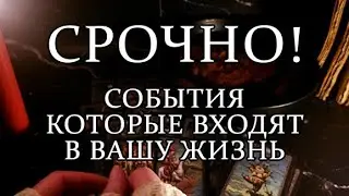 ЭТО УДИВИТ ВАС ДО СЛЁЗ!