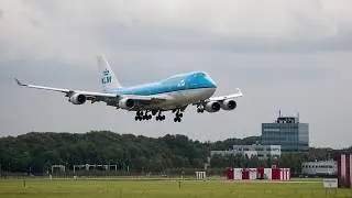 Airline Pet Travel Guide Petplanet.co.uk