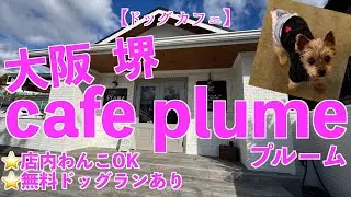 【ドッグカフェ】無料ドッグランに店内もOK！ランチもスイーツもおいしいドッグカフェ #ドッグカフェ #プルーム #無料ドッグラン #大阪府堺市 #ヨーキー ＃犬
