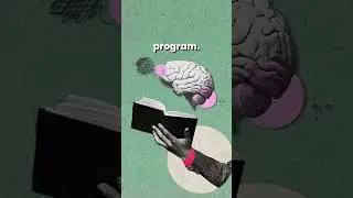 Top 3 Programs at UMass Boston: Computer Science, Psychology & Environmental Science