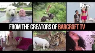 NEW: Barcroft Cars - The Home Of Amazing Car Stories Online