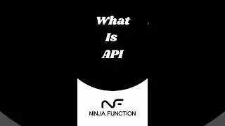 What is API? #api #apiintegration #3rdparty #ninja