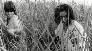 Onibaba (1964, Kaneto Shindo) Introduction by Alex Cox