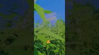 #praj😍