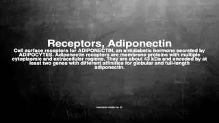 Medical vocabulary: What does Receptors, Adiponectin mean