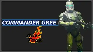 Star Wars Hot Toys Commander Gree Custom 1/6 Scale Figure