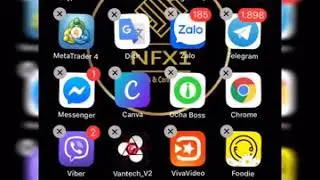 COPYPIP NFX1: C&aacute;c App Hổ trợ C&ocirc;ng Việc Ph&aacute;t Triển Kinh Doanh tại thị trường Forex v&agrave; tại NFX1