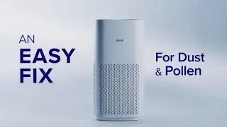 Levoit - An Easy Fix for Dust & Pollen
