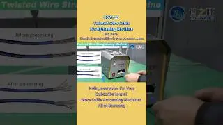 🧵 BOZWANG-CZ Twisted Wire Straightening Machine#factory
