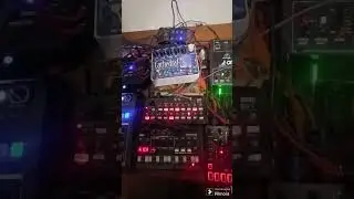 livejam preview #behringercat #unosynth #volcamix #volcakick