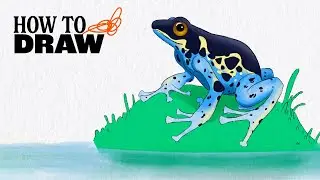 DRAWING TUTORIAL: How to draw a frog | Domestika English