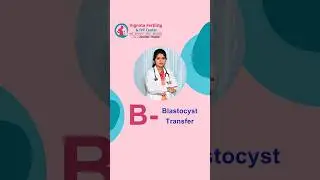 Blastocyst transfer is a significant advancement in assisted reproductive technology.